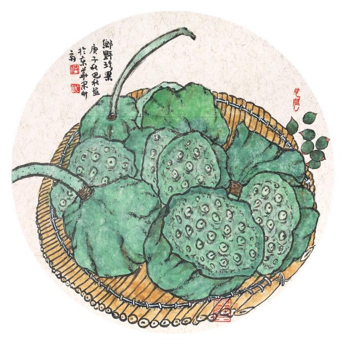 Cherished seedpods of the Countryside Lotus(六)