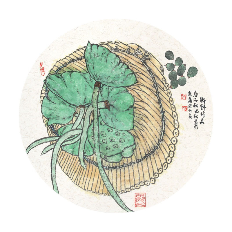 Cherished seedpods of the Countryside Lotus(八)