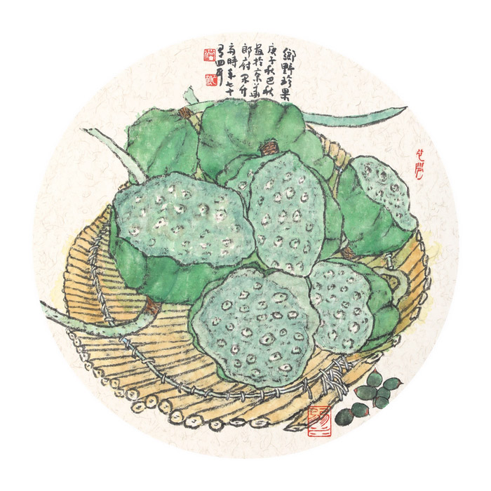 Cherished seedpods of the Countryside Lotus(十)